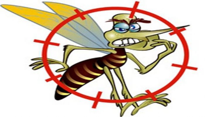 437 Chega a 26 o número de casos de dengue em São Manuel
