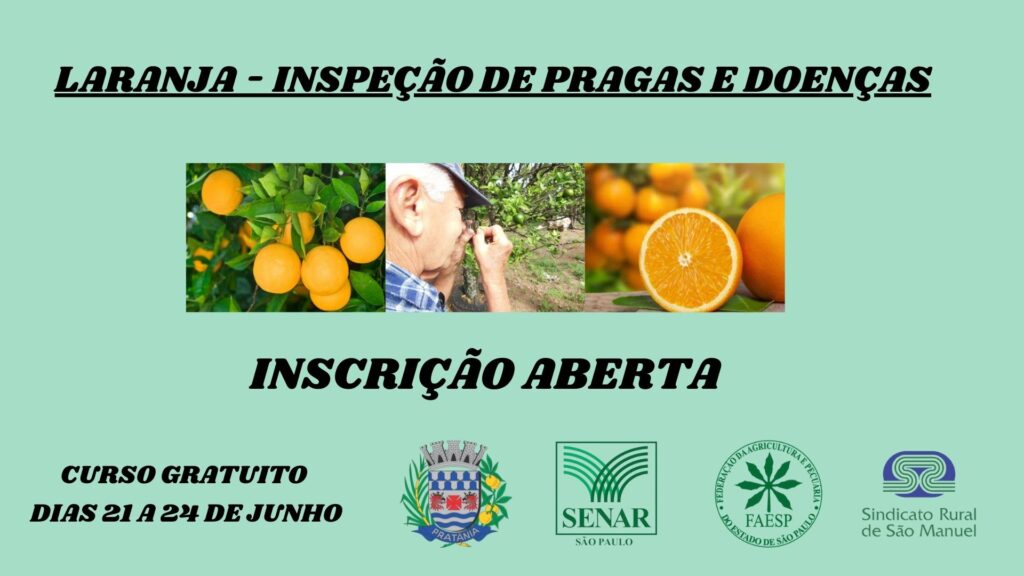 pragas-1024x576 Pratânia terá curso gratuito para inspeção de pragas e doenças