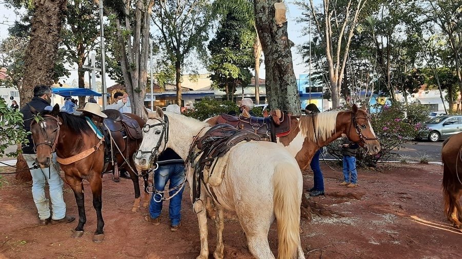 Romeiros da região cavalgam até o Distrito de Aparecida