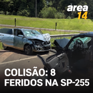 Área 14