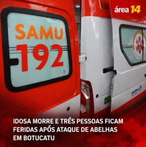 Área 14