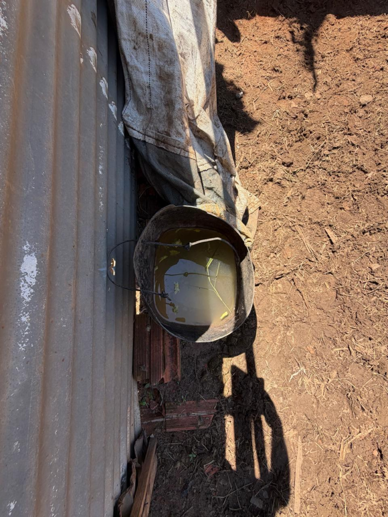 HOMEM É INVESTIGADO POR MAUS-TRATOS A CAVALO E AVES SILVESTRES EM BOTUCATU