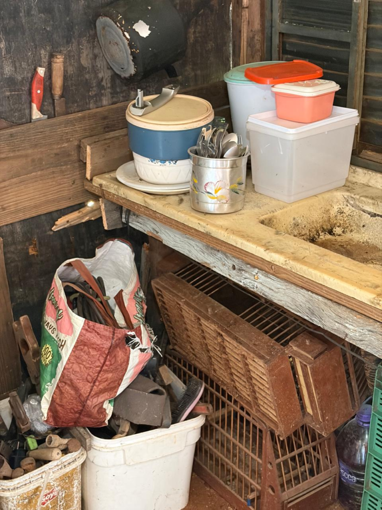 HOMEM É INVESTIGADO POR MAUS-TRATOS A CAVALO E AVES SILVESTRES EM BOTUCATU