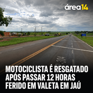 Área 14