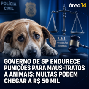Área 14
