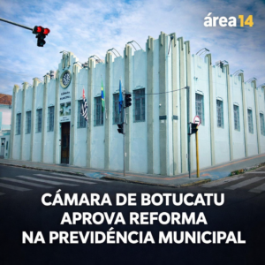 Área 14