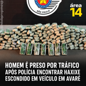 Área 14
