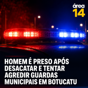 Área 14