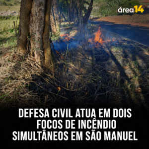 Área 14