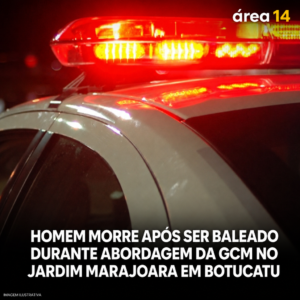 Área 14