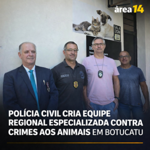 Área 14