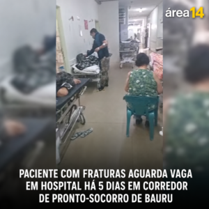 Área 14