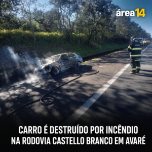 Área 14