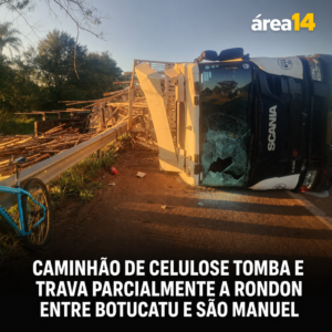Área 14