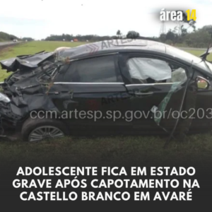 Área 14