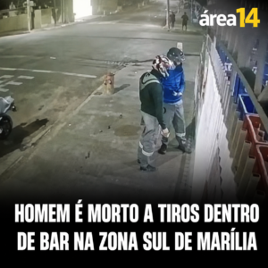 Área 14