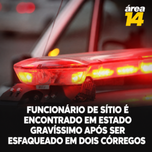 Área 14