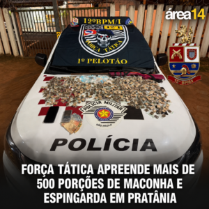 Área 14