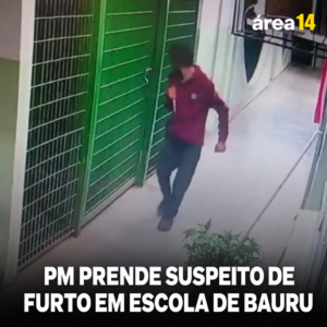 Área 14