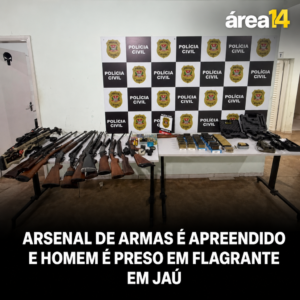 Área 14