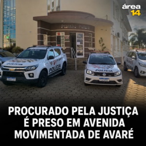 Área 14